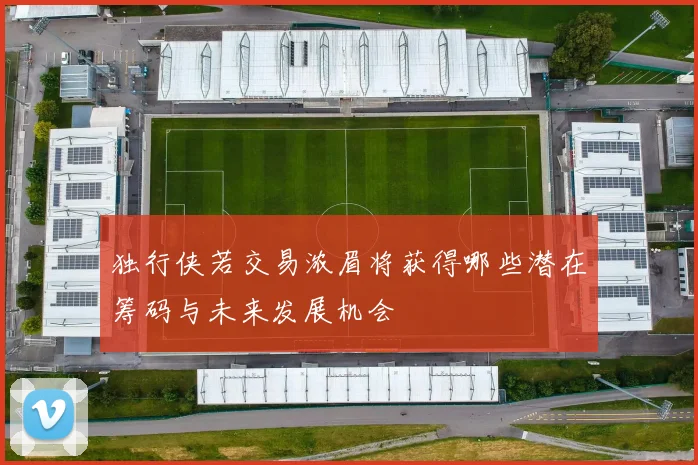 独行侠若交易浓眉将获得哪些潜在筹码与未来发展机会